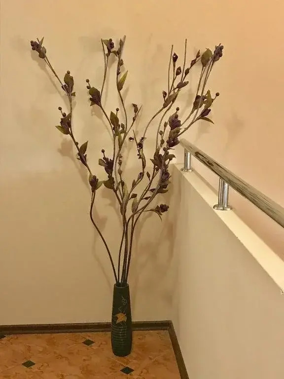 Zoti Hotel
