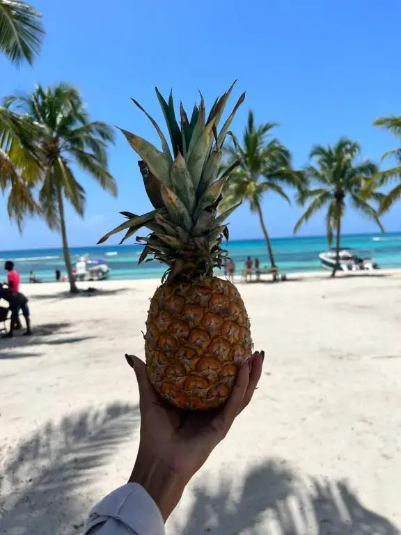 Casa rosada beach front