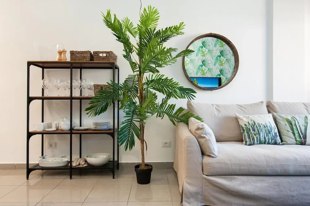 Mogan Palmeras III Apartment with Terrace