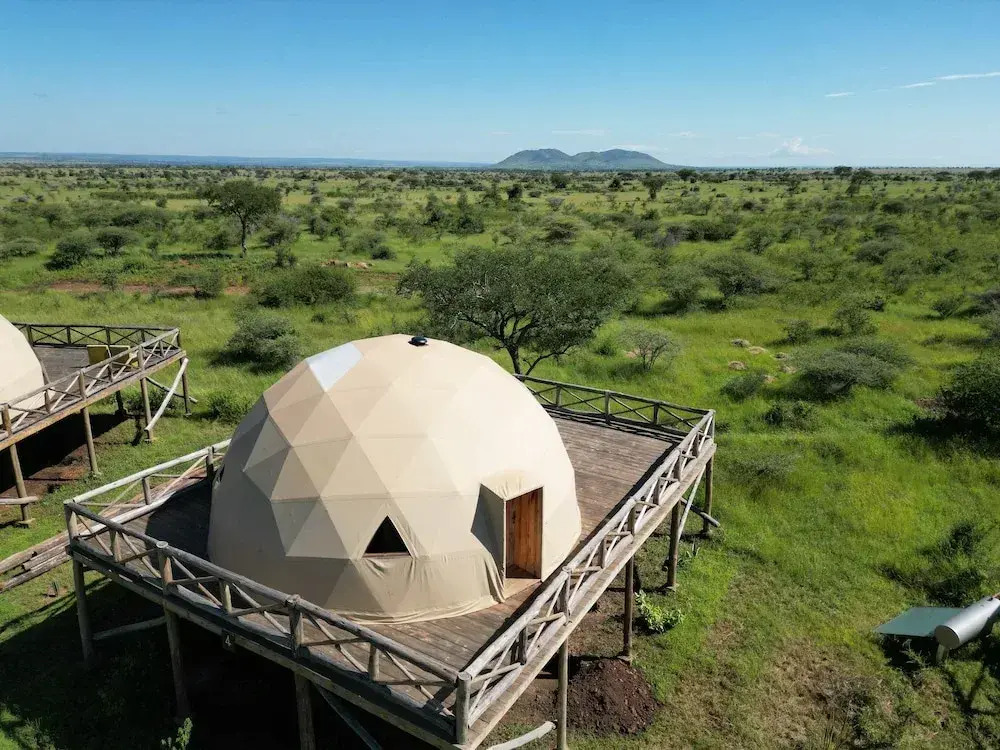 Kuoom Serengeti