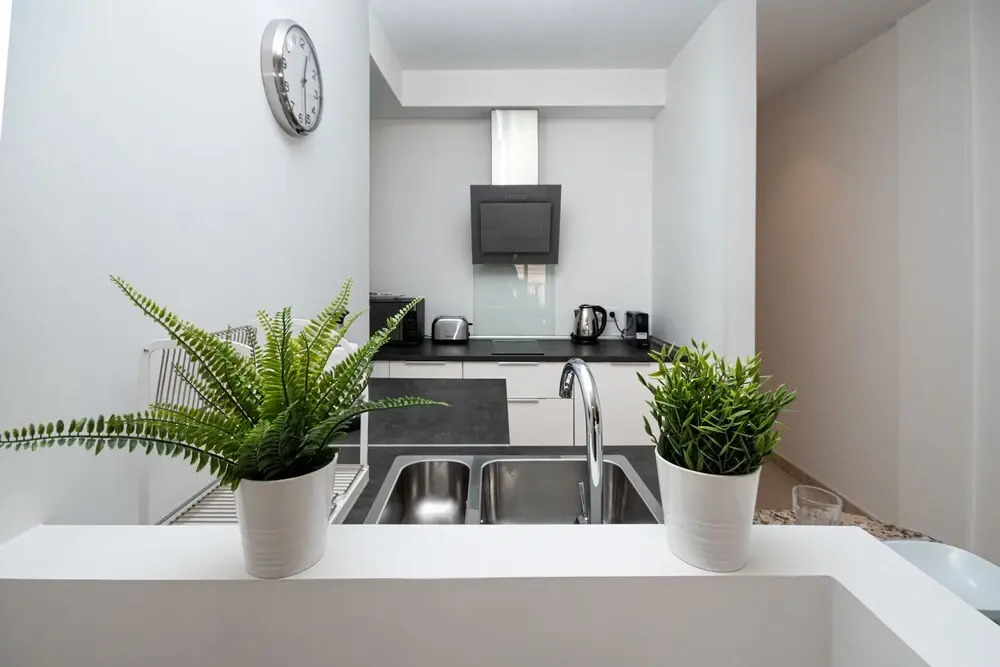 MC Apartments