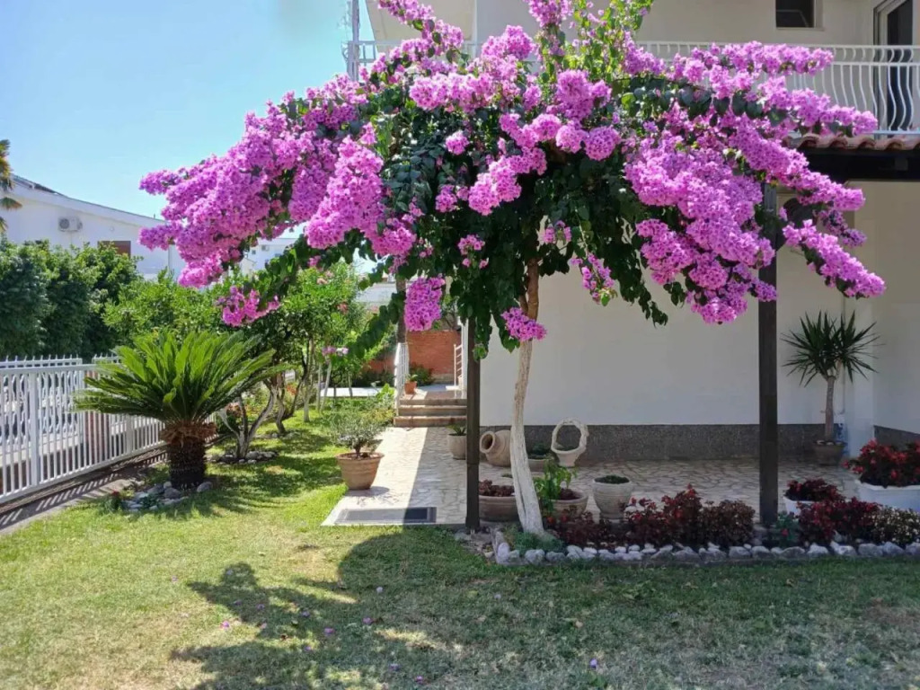 Vila Adriatik