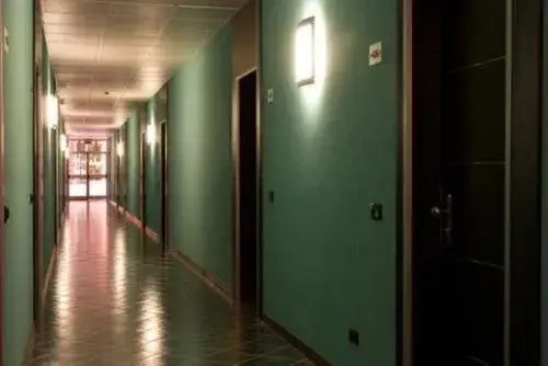 Palacavicchi