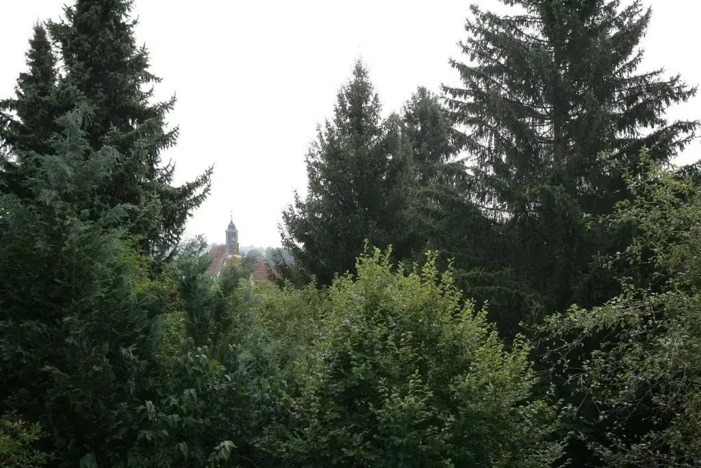 Apartment Hohenstaufen