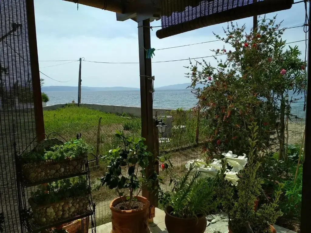 Pelion Platanidia seaside house
