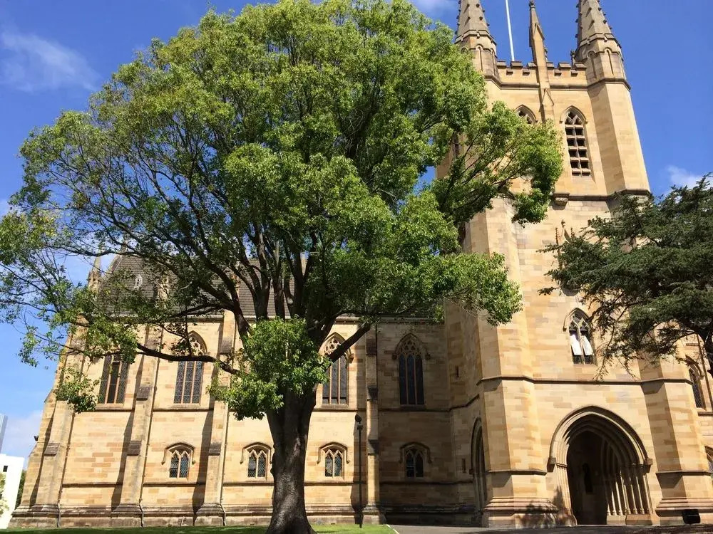 St John's College