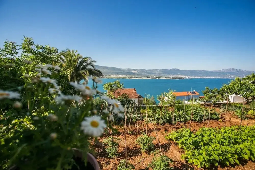 Marija - 60 m From Beach - A2