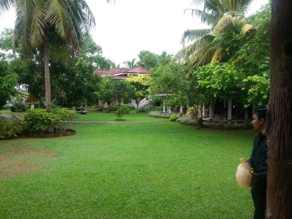 Bougain Villa