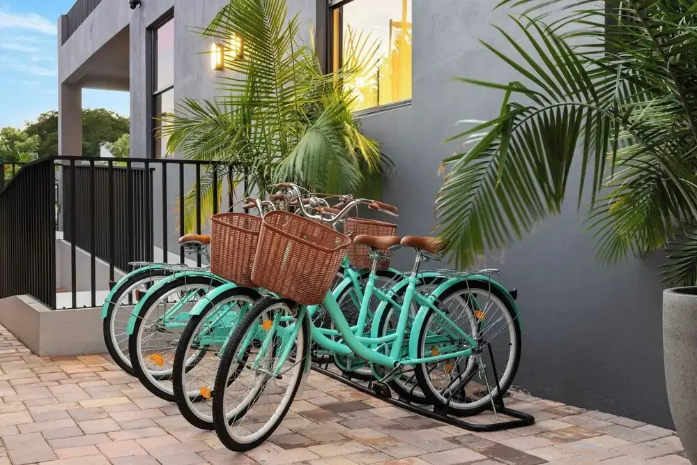 The Rover Miami