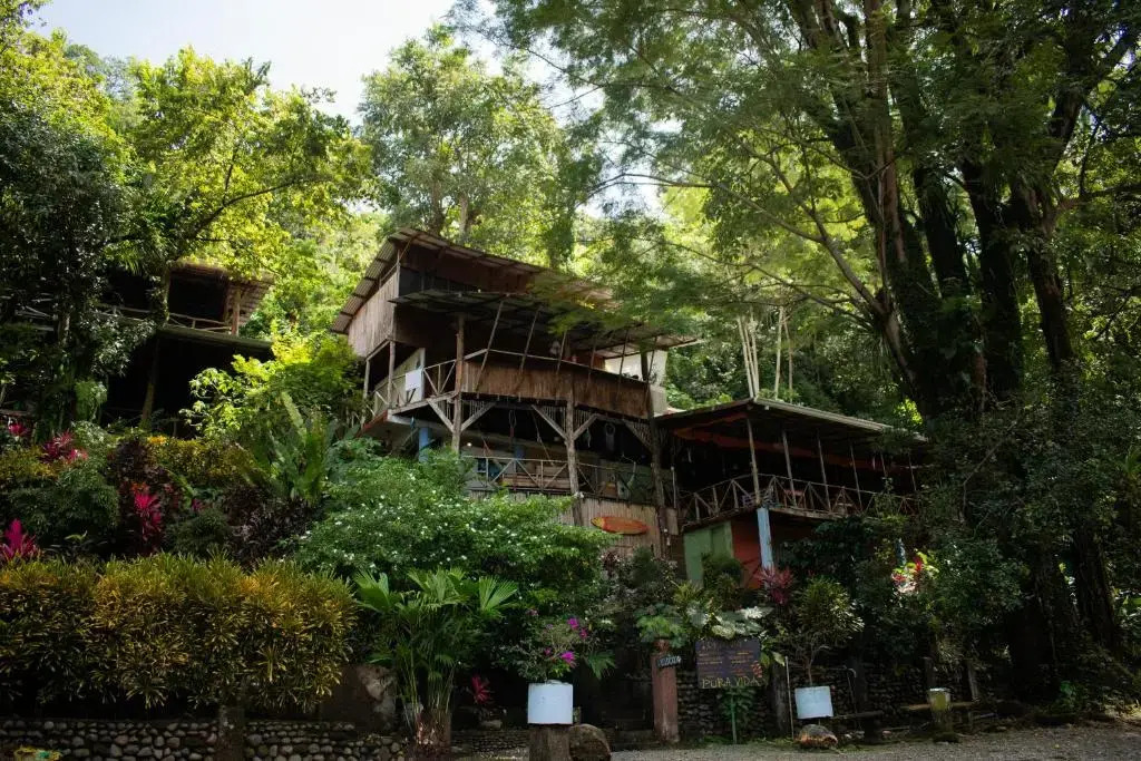 Hostel Plinio