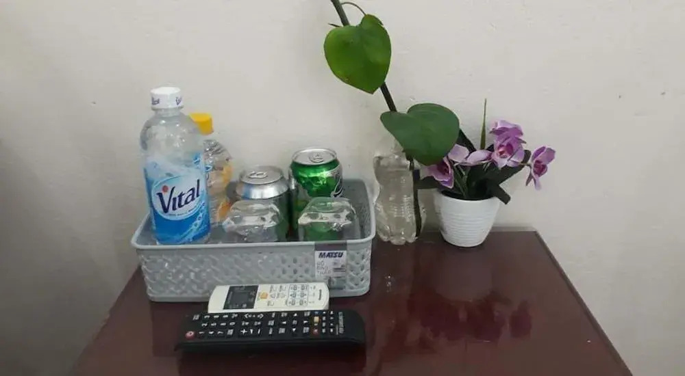 Bong Mai Thai Hoa Hotel