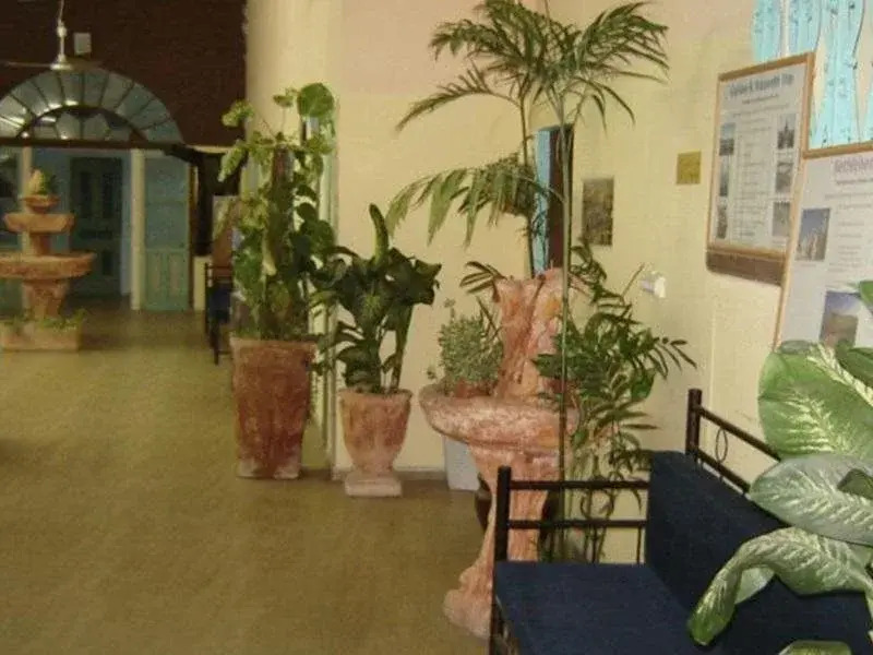 New Petra Hostel