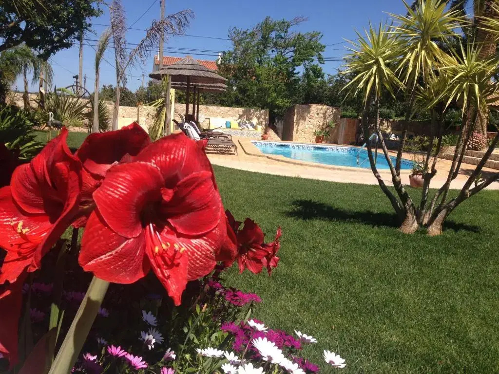 Casa Paula Villas - Private Heated Pool for Each House