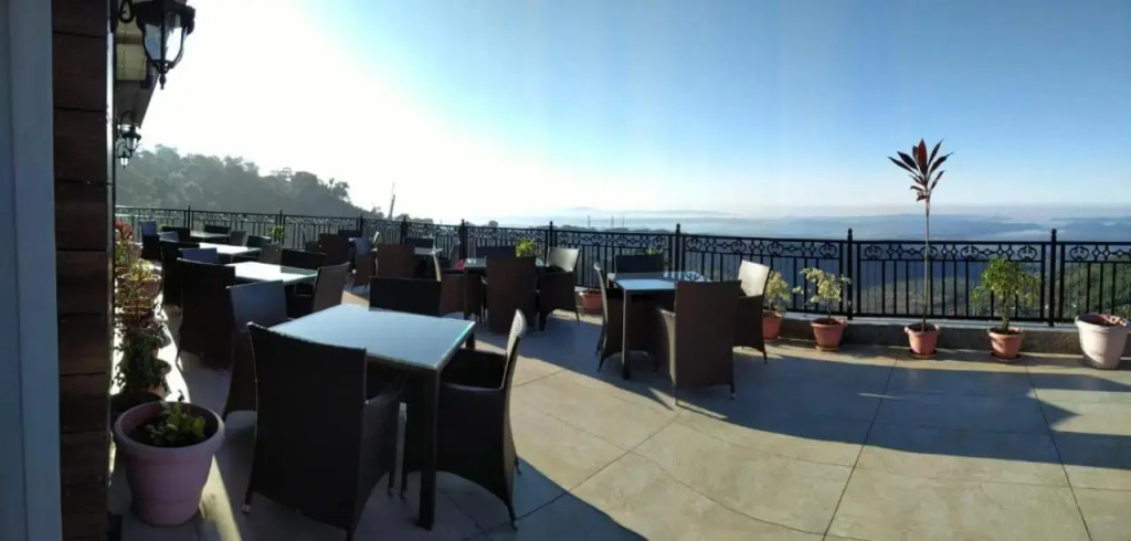 Little Mastiff Pong View