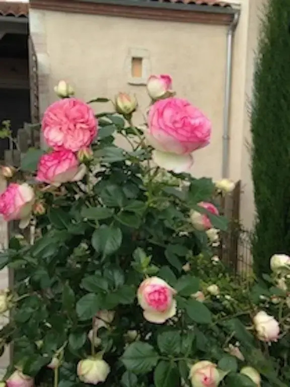 Gîte Mon village et vous
