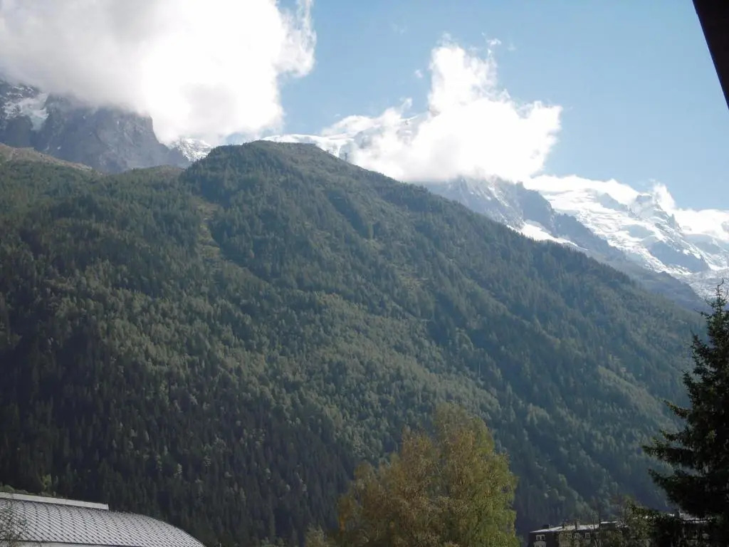 Appartement Chamonix-Mont-Blanc, 2 pièces, 4 personnes - FR-1-517-26