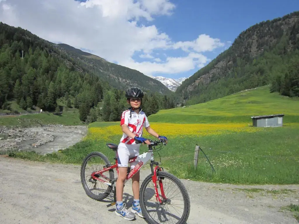 Chalet Bucaneve