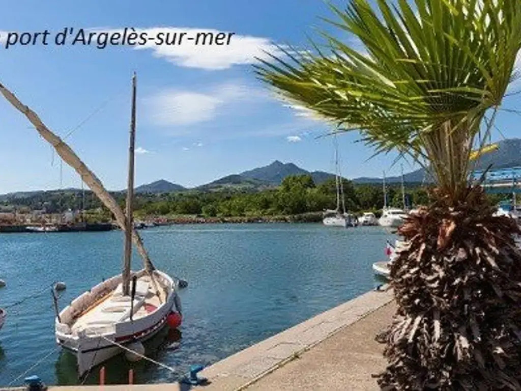 Appartement Argelès-sur-Mer, 1 pièce, 4 personnes - FR-1-225-92