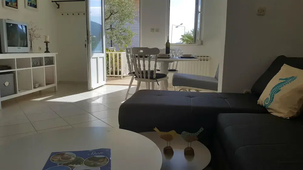 Apartment Damir