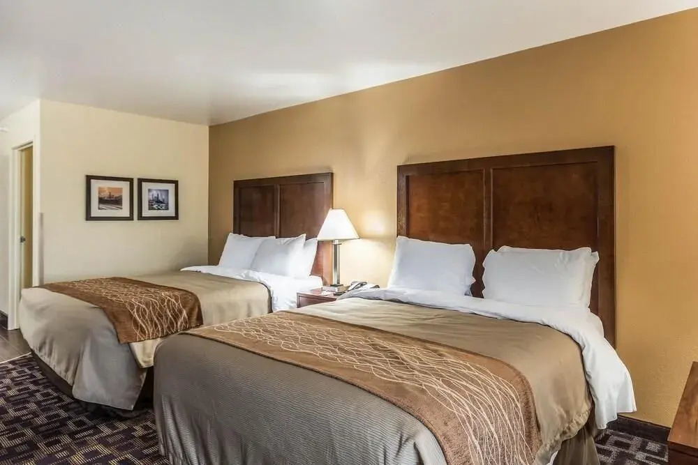 Comfort Inn & Suites North Aurora - Naperville