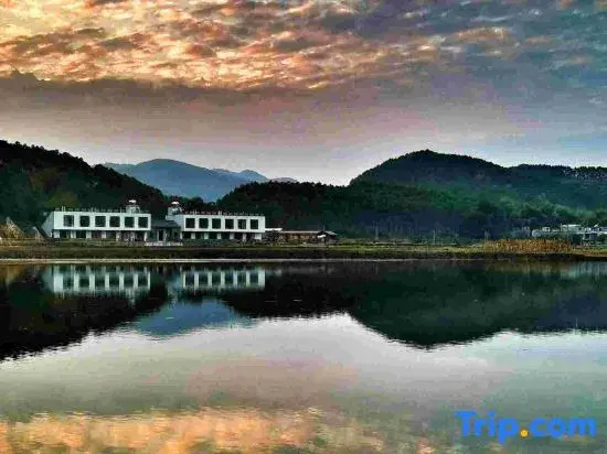 Yingxi Peak Forest Corridor Xingxiwei Homestay