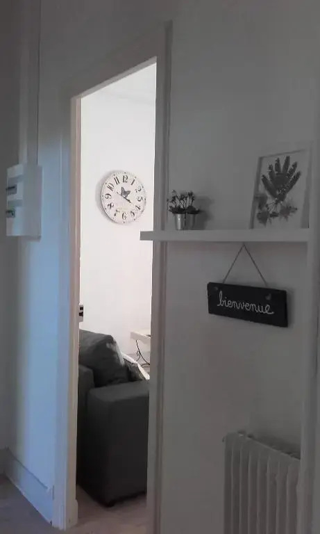 appartement centre vue jardin