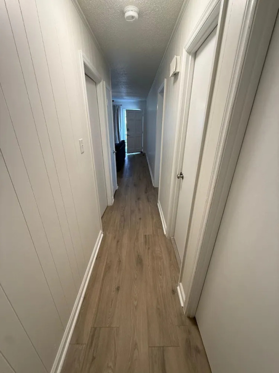Newly Renovated 3 Bedroom House in Lakewood
