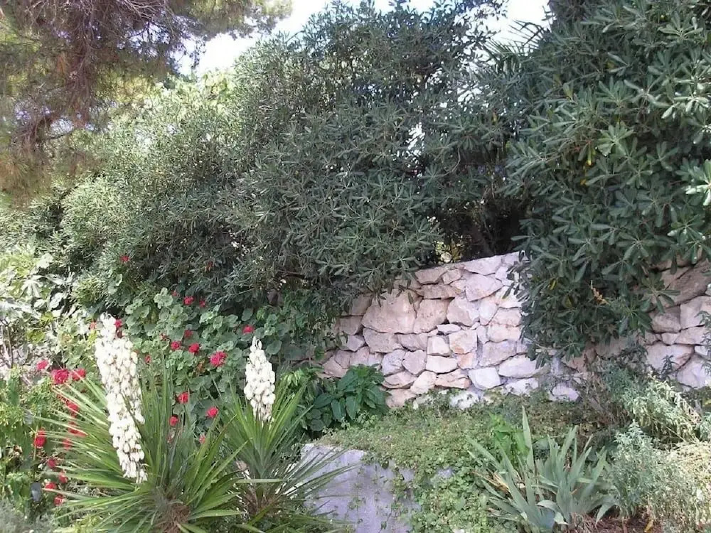 Zelko - With Garden - A2