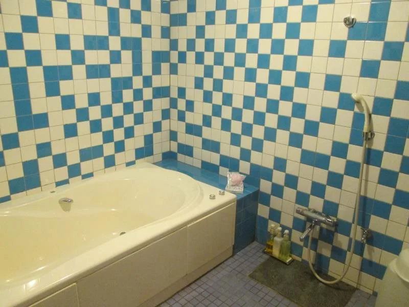 HOTEL ATLANTIS IKUTAMA