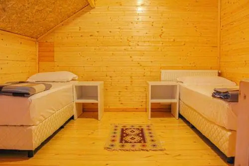 Shkreli Hotel Camp