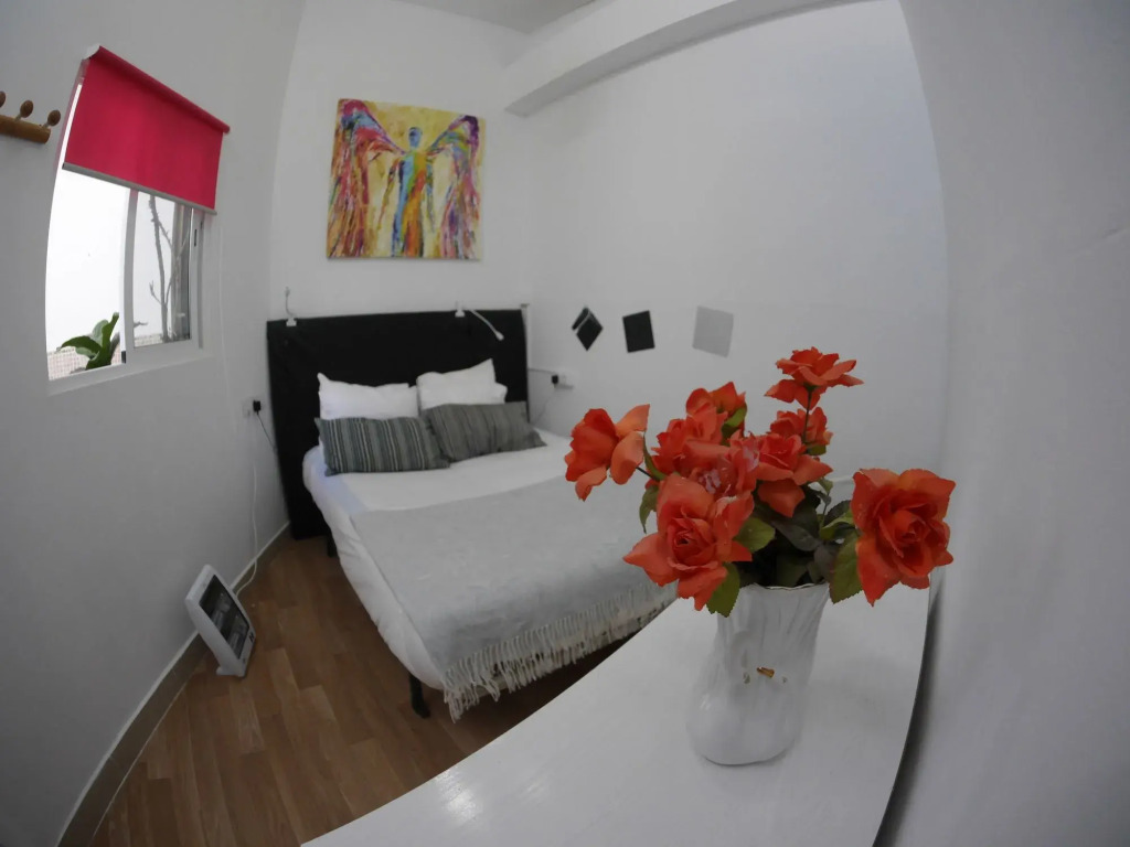Drago Hostel