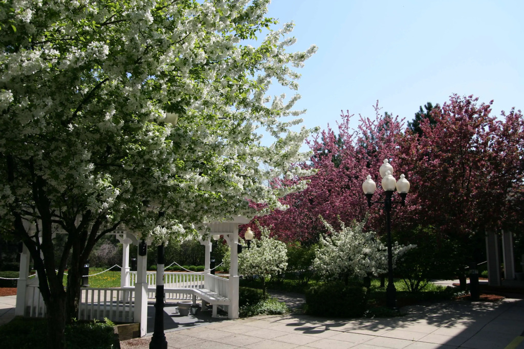 Hampton Inn Burlington - Colchester