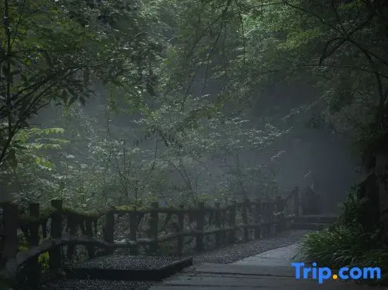 Yunfu Banshan Holiday Homestay
