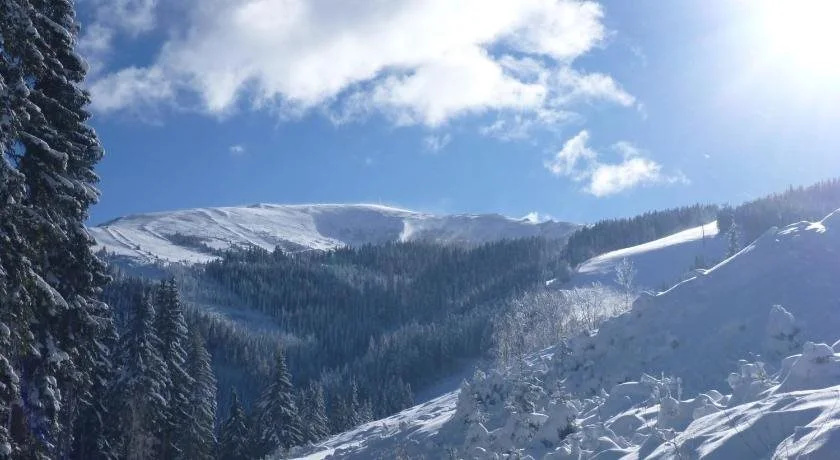 Hotel Koralpe
