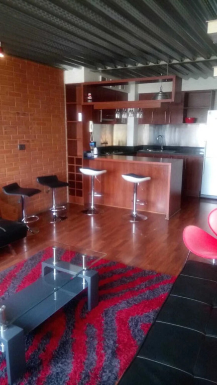Departamento en Providencia - Barros Borgoño