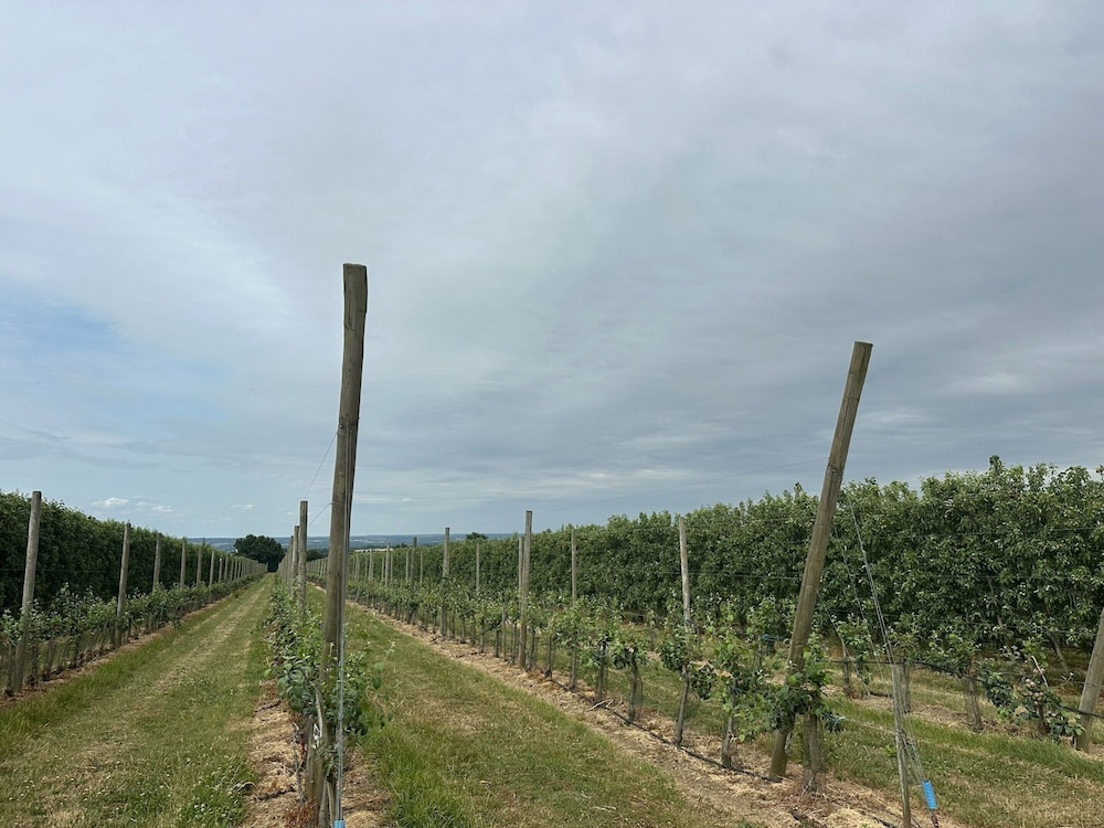 Lovely Holiday Home in Loire for 10