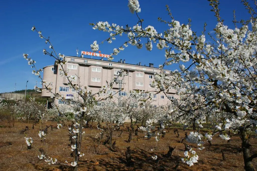 Hotel Novo