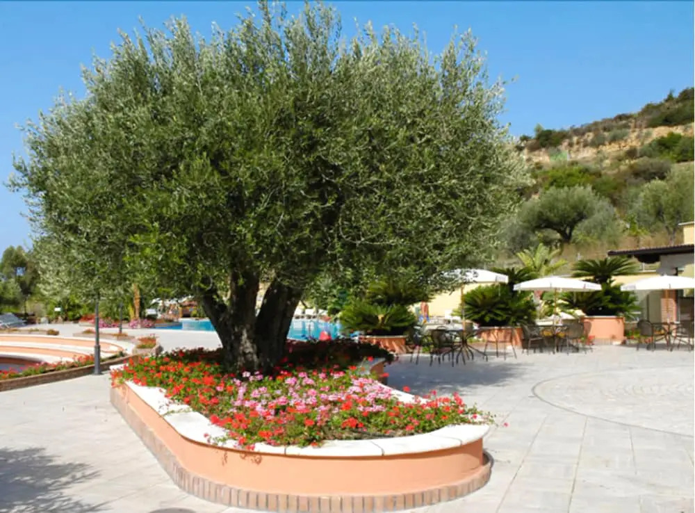 Hera Club Residence