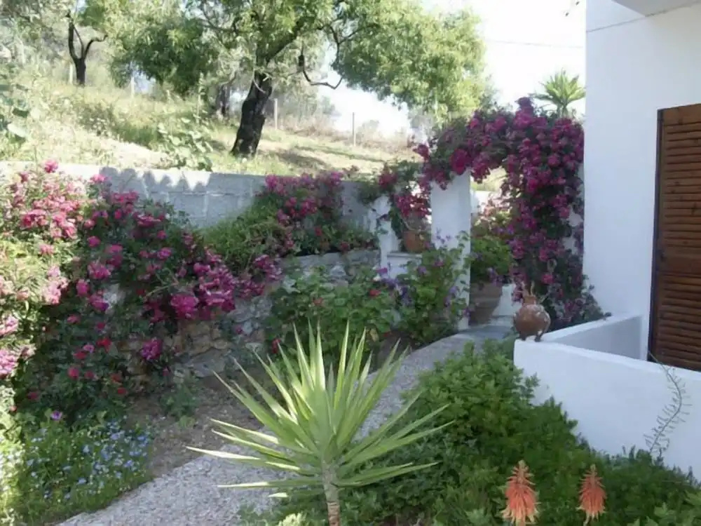 Camelia studios Skiathos Town