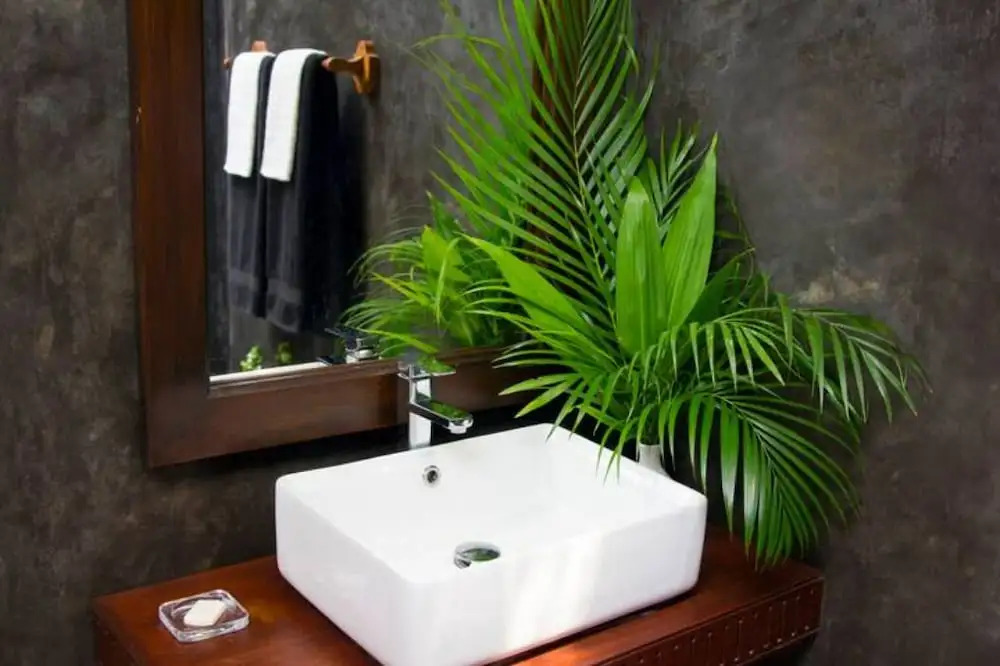Vibration Villas