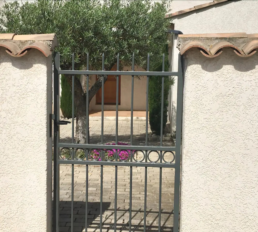Cyprès et Galets