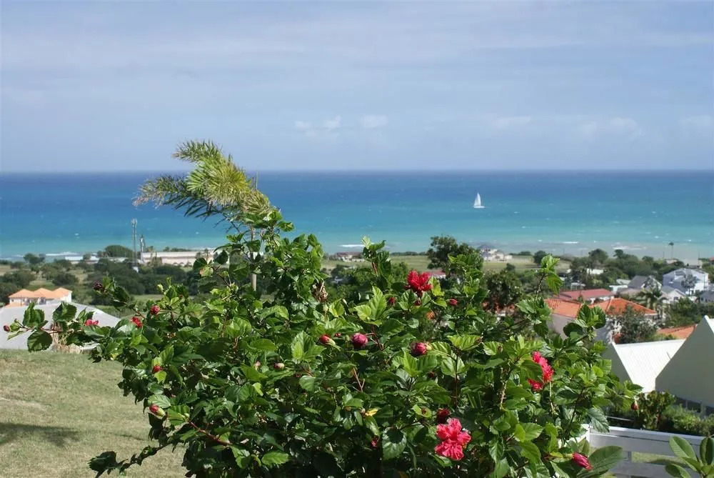 Mahogany Tree Villas