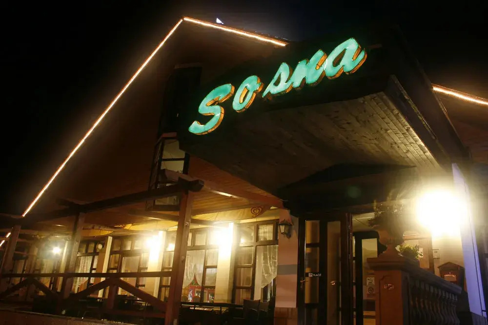 Hotel Sosna