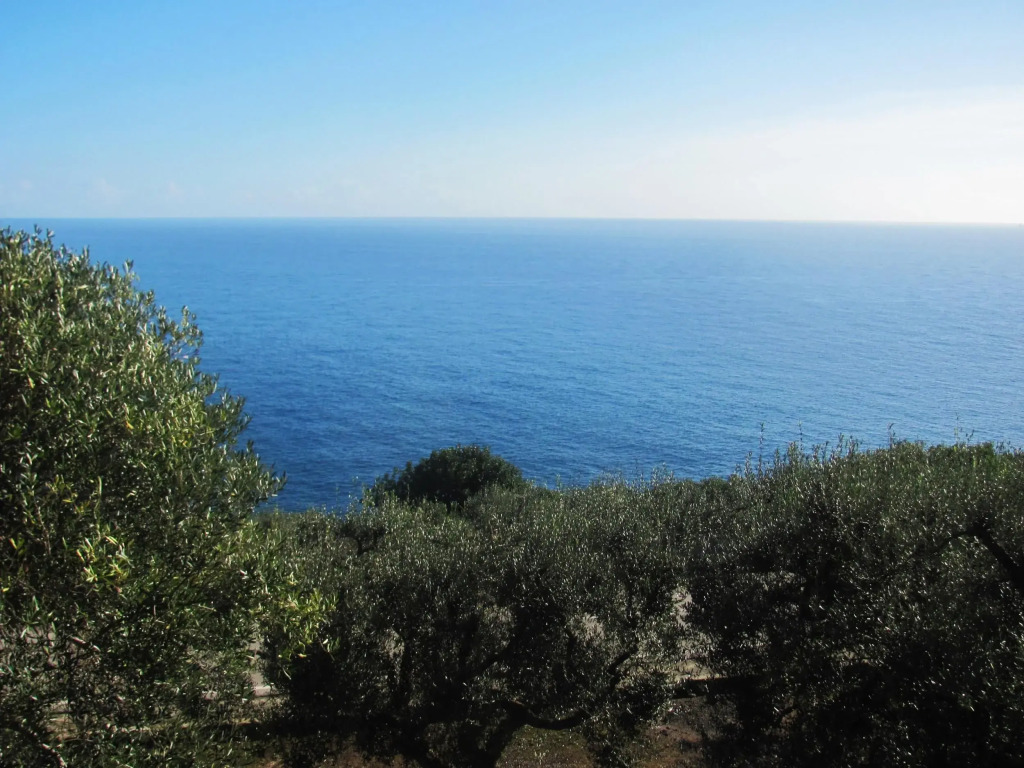 Foresta Forte - Ciolo by LoveSud