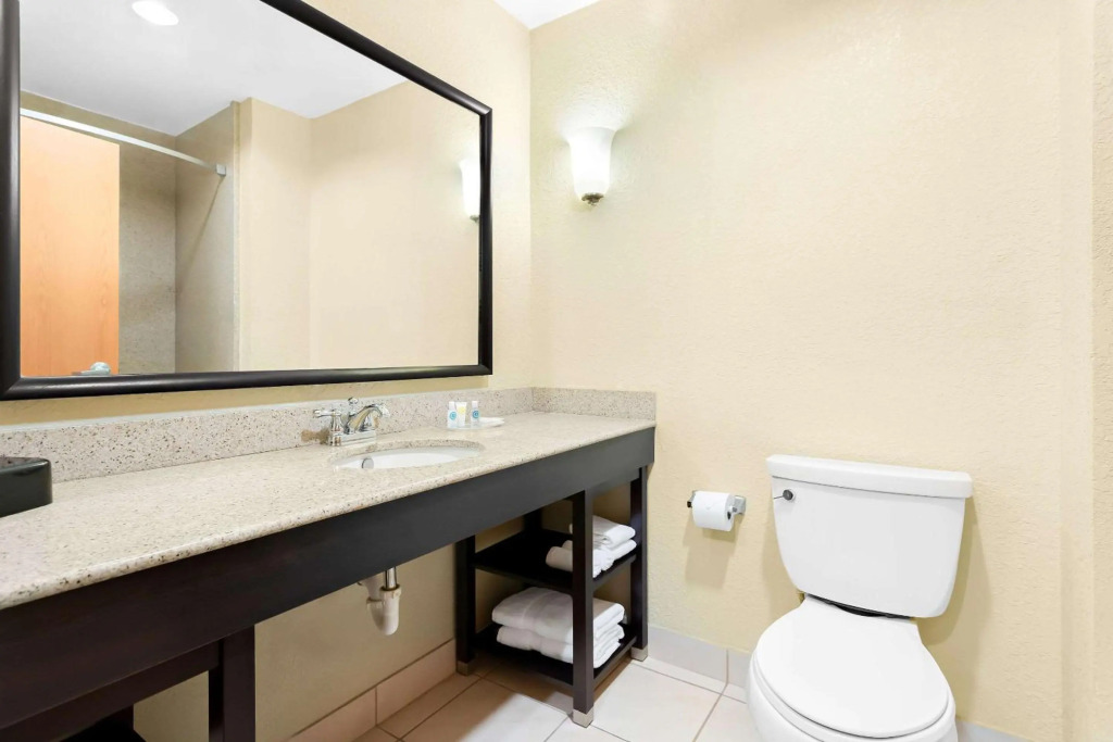 Comfort Suites Tampa Airport North