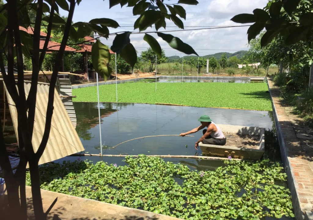 Huong Tuan Farmstay