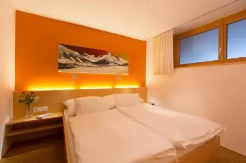 Alpen Appartement Bergkönig