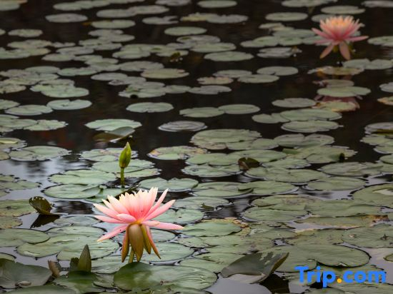 Mulian Resort, Lihu, Zengcheng, Guangzhou