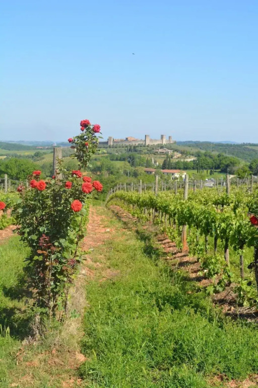 La Caminata