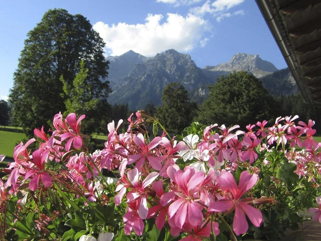 Pension Leitn Franz